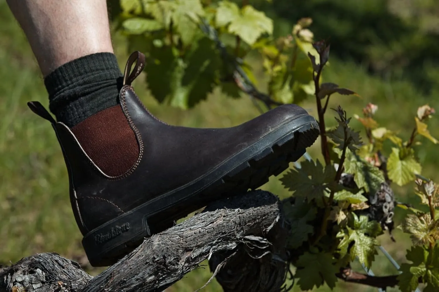 Blundstone 500 Slip On Boot
