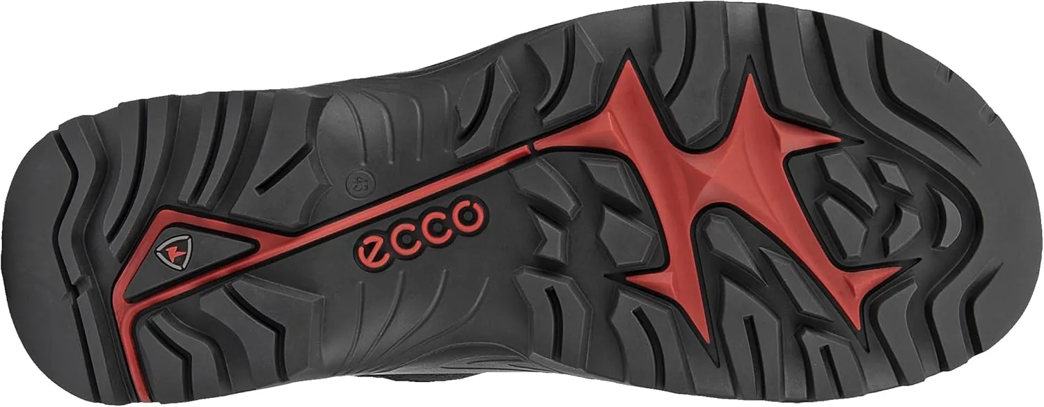 ECCO Men's Offroad Cruiser Lace Up Hiking Shoe
