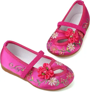 Encanto Costume Shoes Mary-Jane Flats Shoes Round Toe Low Wedge Ballet Flats Floral Embroidery Shoes for Girls Halloween Cosplay Dress Up