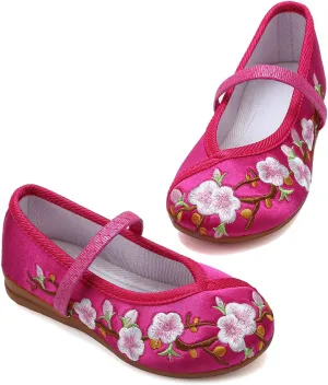 Encanto Costume Shoes Mary-Jane Flats Shoes Round Toe Low Wedge Ballet Flats Floral Embroidery Shoes for Girls Halloween Cosplay Dress Up