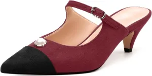 Women's Sandals, Pointed Toe Low Kitten Heels, Two Toned Patchwork Fashion Backstrap Buckle Slide Sandal for Working Wedding Party
